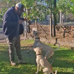 adestrador de cachorro foto 13