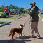 adestrador de cachorro foto 14
