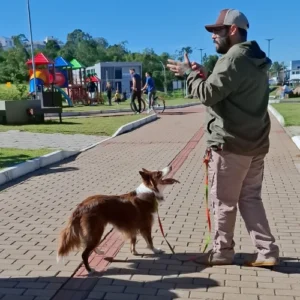 adestrador de cachorro foto 14