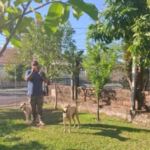 adestrador de cachorro foto 20