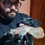 adestrador de cachorro foto 21