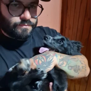 adestrador de cachorro foto 21