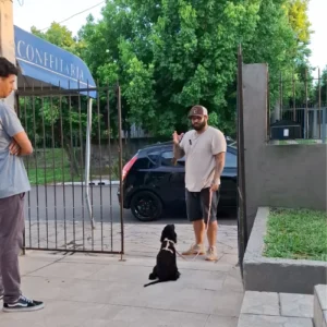 adestrador de cachorro foto 22