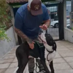 adestrador de cachorro foto 3