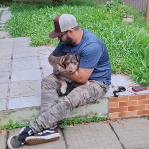 adestrador de cachorro foto 4