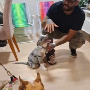 adestrador de cachorro foto 7